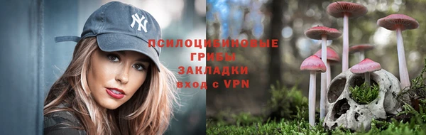 прущие крисы Приозерск